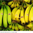 바나나팩 만들기 l 바나나팩 효능 l 바나나팩으로 광나는피부 만들기 이미지