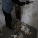 경기도 수원시 권선구 세권로165번길 18 이미지