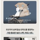 에스그린쇼핑 | [임신기록]와이업 지니에스3(애쉬그린) 내돈내산 후기