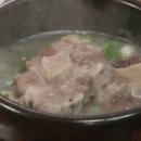 꼬리한마리