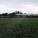 하도별방진 이미지