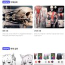 🎨 성인취미미술학원 추천! 그림이 처음이어도 괜찮아요, 디지털 드로잉 입문기(강남/홍대/신촌/일산...