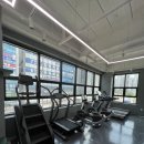 스트롱거 짐 이미지