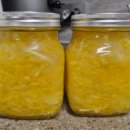 참샘농장 이미지