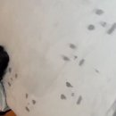 국채보상로151길 이미지