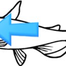 성주메기매운탕 이미지