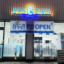 용두리대광어