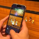 주식회사 스파크펫 이미지