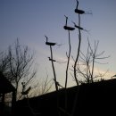 좋은나무어린이집 이미지