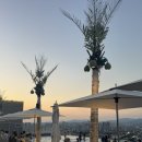 씨유 황금리치점 | [내돈내산 후기] 대구 수성호텔 인피니티풀에서 본 노을과 야경, 치킨&amp;해물라면까지 완벽했던 하루
