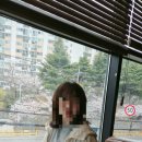스타벅스 다대포DT점 | 내돈내먹 | 스타벅스 다대포 벚꽃뷰 슈크림라떼