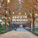 순창군 쉴랜드 | 전남 담양가볼만한곳 메타세콰이어길 입장료 무료 단풍 산책코스 가을 여행