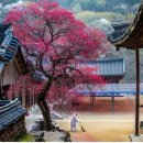 송제한의원 이미지