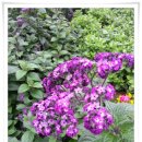 종명랜드 이미지