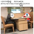 국보당구 | 허접들아여기까지오느라수고했고내미국일상보여줄게