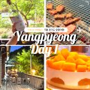 진천농약할인마트 | [양평여행] Day 1 코스 | 계곡의 아침, 투썸플레이스 망고생 후기