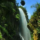 숲속풍경 이미지