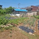 구.다산면사무소 이미지