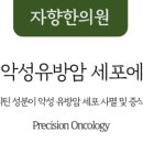 자향 이미지
