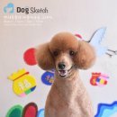 Happy 애견샵 이미지