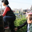 홀트보호작업장 이미지