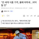 전세계 식품 가격 하락함 이미지