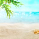 이노센스 이미지