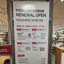 울산 리뉴얼 오픈한 무지MUJI 무인양품 롯대백화점 가볼만한 곳 주말 놀거리 주차장 후기