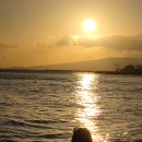 퀸스애비뉴2 | 하와이 와이키키 해변 ~ 위치, 놀거리