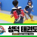 성덕태권도 이미지