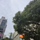 한일공인 행정사사무소 이미지