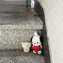 사랑방다실 이미지