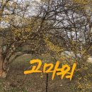 신둔농업협동조합 하나로마트 이미지