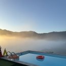 스테이수목 이미지