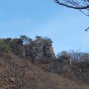 진골가든 | 1019)매화산 (강원 횡성군)