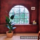 모도리사진관