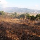 사광농장 이미지