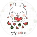 오블리비아테 Daum카페