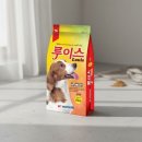 우성애견 이미지