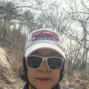 #수락산냥이#보호색의상 이미지