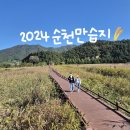 제24회 순천만 갈대 축제(10월중) | 10월 11월 가을 여행 추천 순천 가볼만한곳 순천만습지 입장료 후기