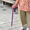 네발로갈때까지 | [리뷰] 리라이즈 지팡이ㅣ플라밍고 컬러ㅣ안정감 있는 네발지팡이 효도 선물 추천!