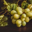 복덩이순대국 이미지