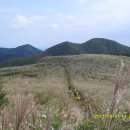 영일만온천 이미지