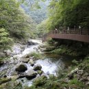 동아무도장 이미지