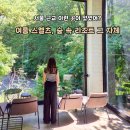 신동읍행정복지센터 후문 옆 | 여름 스멜츠 숲 속 리조트 그 자체 서울 근교 실내데이트
