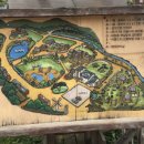 복골온천 애견스파 이미지