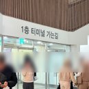 뚱띠파스타