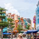 4496 | 베트남 나트랑 맛집 추천 : 나트랑 시내 로컬 쌀국수