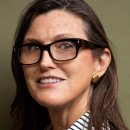 폭스우드 이미지